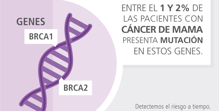 Mutaciones en los genes BRCA 1 y 2